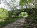 Image for Green Lane Bridge Over Trans Pennine Trail - Godley, UK