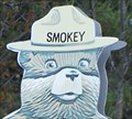 Image for Smokey Bear - Sanford, MI