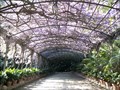 Image for La Concepción Botanical-Historical Gardens - Málaga, Spain