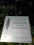 Image for Le chêne de Maria Duquet. -Shawinigan.  -Québec.