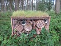 Image for Insect Hotel - 5th tee, Forfar Golf Course, Angus.