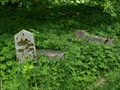 Image for zaniklý hrbitov  / abandoned cemetery, Boletice, Czech republic