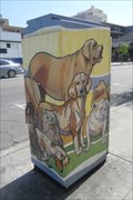 Image for Long Beach Dogs  -  Long Beach, CA