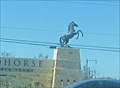 Image for Don't Tausch The Horse, San Antonio, TX