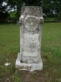 Image for C.S. Tyler - Boxelder Cemetery - Boxelder, TX