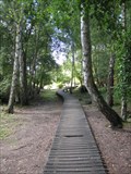 Image for The Gullet Boardwalk - Twywell Hills and Dales, Northamptonshire, UK