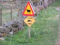 Image for Stockdog Crossing - Mid Derry, Angus.