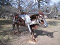 Image for Metal Longhorn Sculpture - Austin, TX
