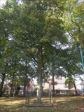 Image for Beatrixboom - Bronbeek - Arnhem, the Netherlands