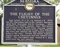 Image for The Flight of the Cheyennes