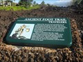 Image for Ancient Foot Trail Travelers - Waikoloa, HI