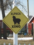 Image for Alpaca Crossing sign, rural Parkersburg, IA