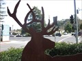 Image for Deer - Martinez, CA