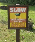 Image for Endangered Species Crossing - Haleiwa, HI