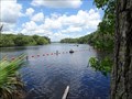 Image for CONFLUENCE - Blue Spring Run - St. Johns River - Orange City, Florida, USA