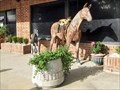 Image for Horse and Colt - Madisonville, TX