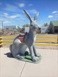 Image for Jack Rabbit - "Mental Giant" - Joseph City, Arizona, USA.