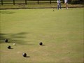 Image for Milwaukee Lake Park Lawn Bowls Club