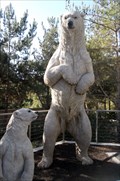 Image for Standing Tall Polar Bears - San Diego, CA