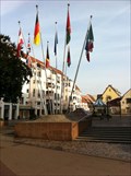 Image for Sister City Flags - Colmar, Alsace, France