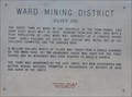 Image for Ward Mining District