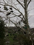 Image for Shoe Tree - Brookville, IN