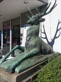 Image for Sitting Deer - Stuttgart-Vaihingen, Germany, BW