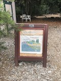 Image for Wooden Sign (Flink) - Huntington Beach, CA