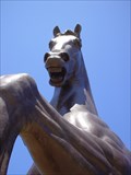Image for The American Horse Leonardo da Vinci's 