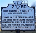 Image for Montgomery County / Pulaski County