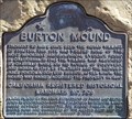 Image for Burton Mound