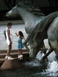 Image for Mustangs of Las Colinas - Irving, TX