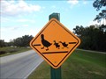 Image for Duck Crossing Sign - Disney World - Orlando, FL