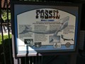 Image for Fossil Whale Exhibit - Mission Viejo, CA