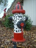 Image for Dalmatian Fire Hydrant