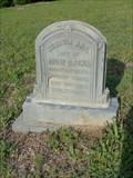 Image for Georgia Ann Brown - Hillsboro City Cemetery - Hillsboro, TX