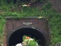 Image for South West Portal - Dunhampstead Tunnel - Worcester & Birmingham Canal - Dunhampstead - Worcestershire - UK
