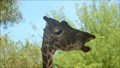 Image for Reid Park Zoo - Tucsonopoly - Tucson, AZ