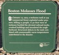Image for Boston Molasses Flood
