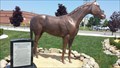 Image for Buffalo Joe the Horse - Buffalo, NY