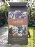 Image for Mundo Alpaca - Arequipa, Peru