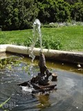 Image for Fish Fountain - Fredericksburg VA