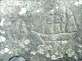 Image for Ozette Beach Petroglyphs