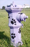 Image for Friends Forever Dog Park Hydrant - Freeport, IL