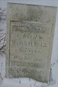 Image for Persons Pioneer Cemetery - Sheldon, NY