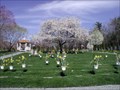 Image for Angel View Pet Cemetery - Middleboro, MA