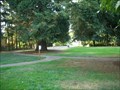 Image for Rees Park - Salem, Oregon