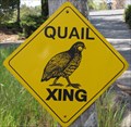 Image for Quail Crossing - Los Altos, CA
