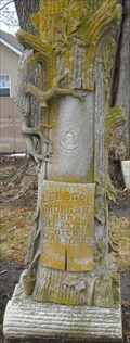 Image for Morgan - De Soto Cemetery - De Soto, Ks