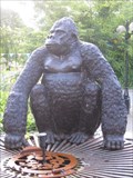 Image for Gorilla - Station Road, Betws-y-Coed, Conwy, North Wales, UK